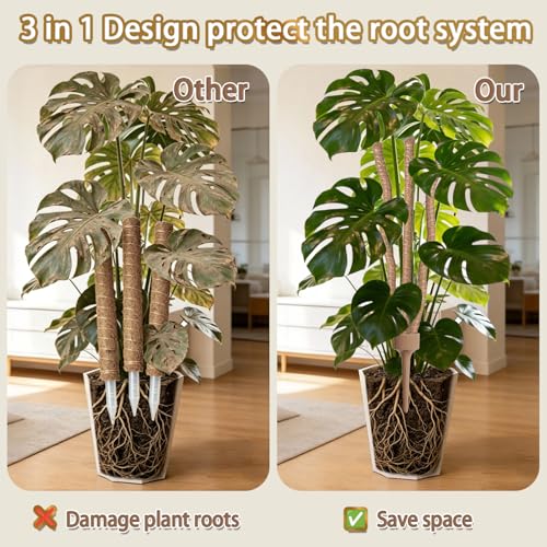 3 Moss Poles in 1, Bendable Monstera Plant Support, 30IN Tall Plant Stakes for Indoor Plants, Coir Pole Plant Support for Climbing Plants, Pothos, Philodendron-2 Pack by LECAMEBOR - Used condition - Image 3