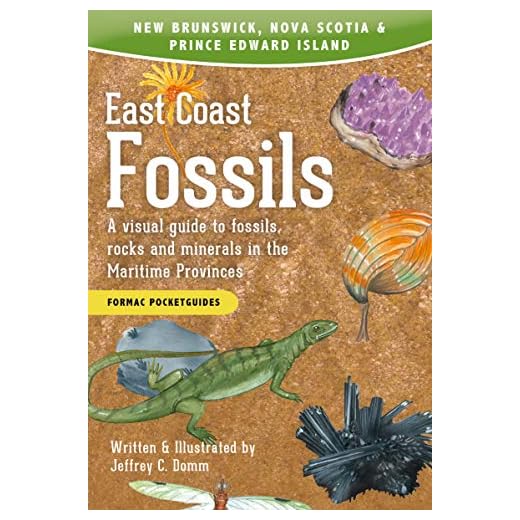 East Coast Fossils: A visual guide to fossils, rocks and minerals in the Maritime Provinces