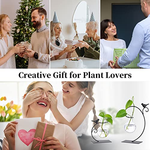 Glasseam Terrarium Plant Propagation Stations, 2Pcs Glass Terrariums For Plants, Desktop Glass Planter Bulb Vase For Office Home Decor, Hydroponic Propogation Jars Propagate Station Gifts For Women #TOP6