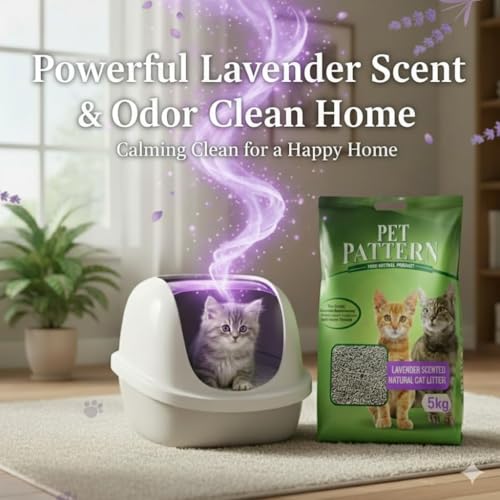 Image of DynamicSales (india) Smart Ball Bentonite Cat Litter 5kg with Scooper | Fast Clumping, Strong Odor Control, Low Dust & High Absorbency | Premium White Cat Litter Combo