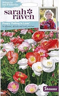 Amazon Co Jp ポピー 種