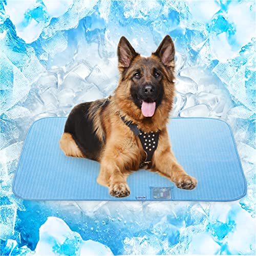 Find The Best Cooling Pads For Dogs Reviews & Comparison Katynel