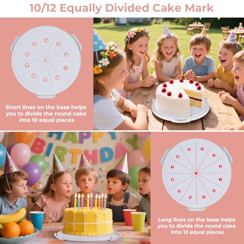 Targihoemt Foldable Cake Carrier, Holds up to 10in Round and 8.5in High Cake, with Lid and Handle by Targihoemt - Image 5