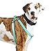 Youly Adjustable Dog Harness Turqoise X-Small/Small