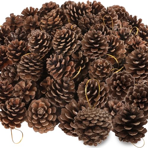 50 Pack Pine Cones, 1.96 Inches Natural Pinecone Ornaments, Pine Cones for Crafts, Rustic Pinecones with Gold String for DIY Winter Decorations Christmas Tree Christmas Ornaments Table Decor
