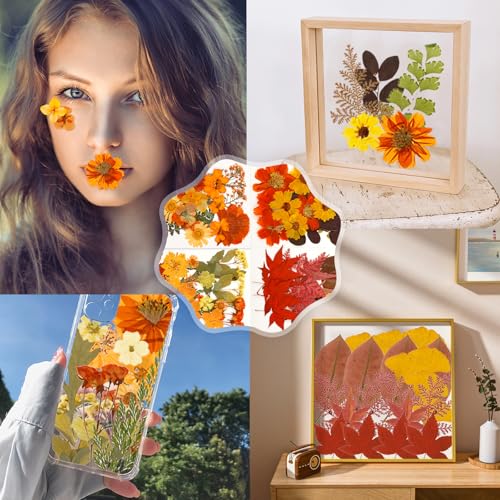 Flores secas prensadas de otoño, 100 piezas para manualidades miniatura 4