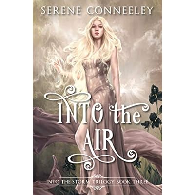 Into the Air: Into the Storm Trilogy Book Three