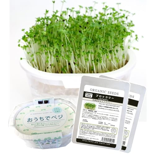 【健康生活スタートセット】有機種子 ブロッコリースプラウト 栽培キット(容器1点+種大袋2点) スプラウト 豆苗 水耕栽培 野菜 育てる 栽培容器 おしゃれ グリーンインテリア 栽培セット 種 園芸 収穫 室内 スプラウト栽培 自由研究 大容量 コスパの良いお得なセット