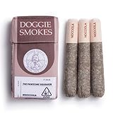 Nocciola Funny Squeaky Dog Toys, Cool Stuffed Plush Toys for Medium, Small and Large, Accessories for Dog Birthday