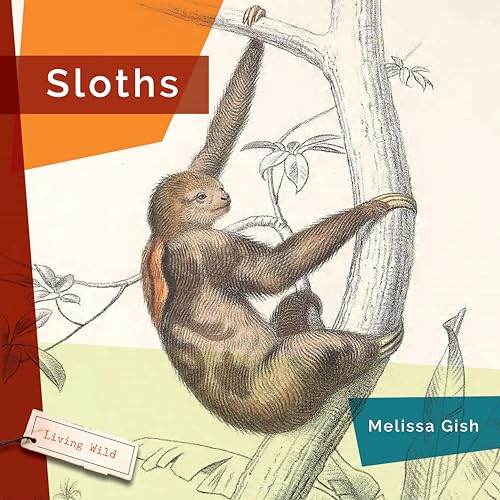 Sloths (Living Wild)