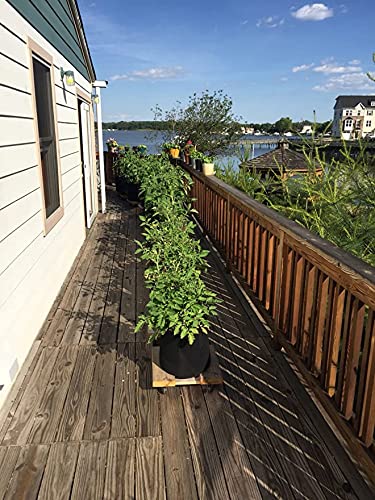 PHYEX 12-Pack 20 Gallon Nonwoven Grow Bags, Aeration Fabric Pots with Durable Handles, Come with 12 Pcs Plant Labels