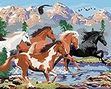  Peinture par numéros - Cheval sauvage dans les montagnes (HOWARD ROBINSON) 80 x 100 cm avec châssis (déjà tendu).