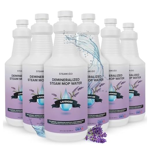 Steam & Go Demineralized Cleaning Water