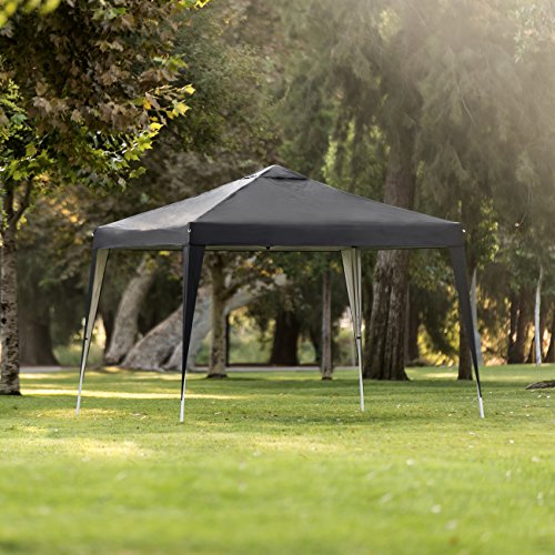 Best Choice Products Outdoor Portable Adjustable Instant Pop Up Gazebo Canopy Tent w/Carrying
