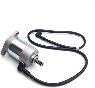 Motorcycle Compatible for Yamaha LONCIN Starter Motor Electric Start Engine DT230 MT250 GPX TSE250R HJ250H Compatible for KAYO KT250 GR7 GR8 Enduro KEWS