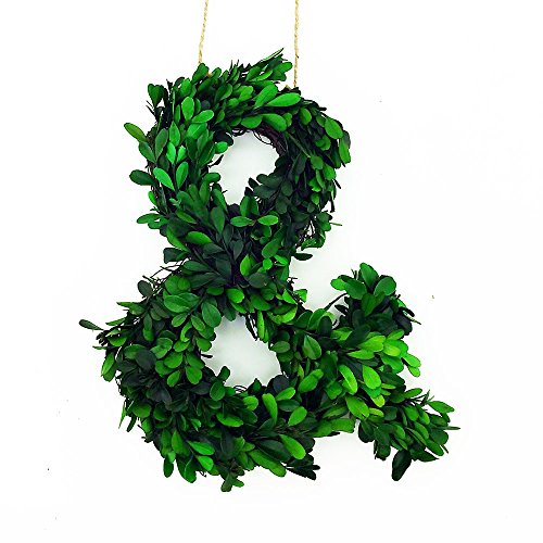 Modern Home 12" Real Preserved Boxwood Monogram Wreath Letters - Z #TOP2