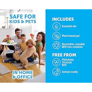 Bright Air Solid Pet Odor Eliminator Cool Citrus Scent 14 Oz Each 6 Pack  Cucciolini Doodles Bright air solid pet odor eliminator cool citrus scent 14 oz each 6 pack   cucciolini doodles