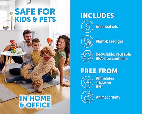 Bright Air Solid Pet Odor Eliminator Cool Citrus Scent 14 Oz Each 6 Pack  Cucciolini Doodles Bright air solid pet odor eliminator cool citrus scent 14 oz each 6 pack   cucciolini doodles