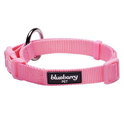 Blueberry Pet 4 Colors Better Basic Dog Collar, Rosy Pink, X-Small, Neck 7.5