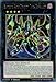 Supreme King Dragon Dark Rebellion - COTD-EN041 - Rare - 1st Edition - Code of the Duelist (1st Edition)