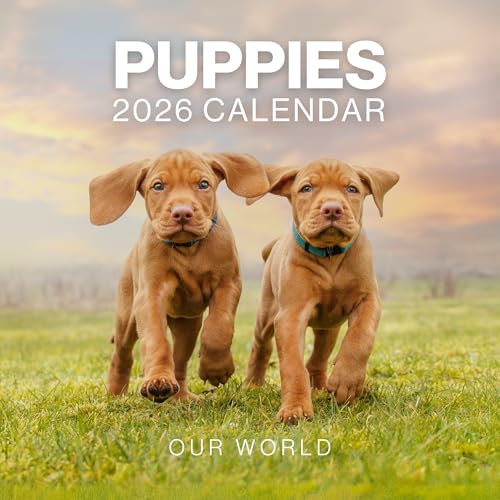 Puppy Calendar 2026 Wall Planner, 12-Month, Large