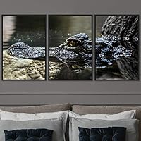 3 Piece Framed Canvas Wall Art Alligators Canvas Prints Home Artwork Decoration for Living Room,Bedroom - 16