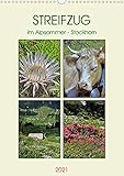 14 Seiten bestehend aus 1 Coverbild | 12 Monatsbilder | 1 Indexseite. Inklusive Papprücken hinten und vorderseitig einer Klarsichtfolie.