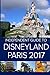 Produktbild The Independent Guide to Disneyland Paris 2017