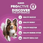 IAMS Proactive Health Dry Dog Food, Large Breed Mature Premium Adult Dog Food for Large Breeds, with Chicken, 30 lb. Bag - Image 2