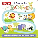 fisher price rainforest jumperoo recall  Follow Me - A Day in the Rainforest