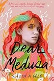 Dear Medusa: (A Novel in Verse)