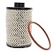 Mahindra Roxor New OEM Kit Fuel Filter Element, 1001CAA14881N