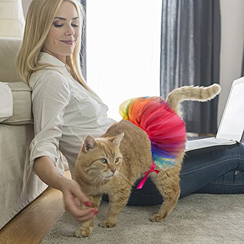 Rainbow Dog Costume Pride Gay Pride Princess Dress Cat Costumes, Summer Rainbow Tutu For Small Medium Cats Dogs, Fancy Rainbow Multicolor Pet Collar For Dog Cat Birthday Party Pride Accessories(S) #TOP4