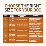 Wildfang® Kauwurzel aus Baumheide für Hunde, Größe L - Natürliches Kauspielzeug Hund, splitterfreies Hundespielzeug unzerstörbar zur Zahnpflege Hund & Welpenspielzeug (für Hunde 25–45 kg), 1 Stück