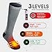 GLOBAL VASION Heated Scoks Winter Electric Rechargeable 3 Heating Settings Thermal Sock for Men and Women (Gray, L)