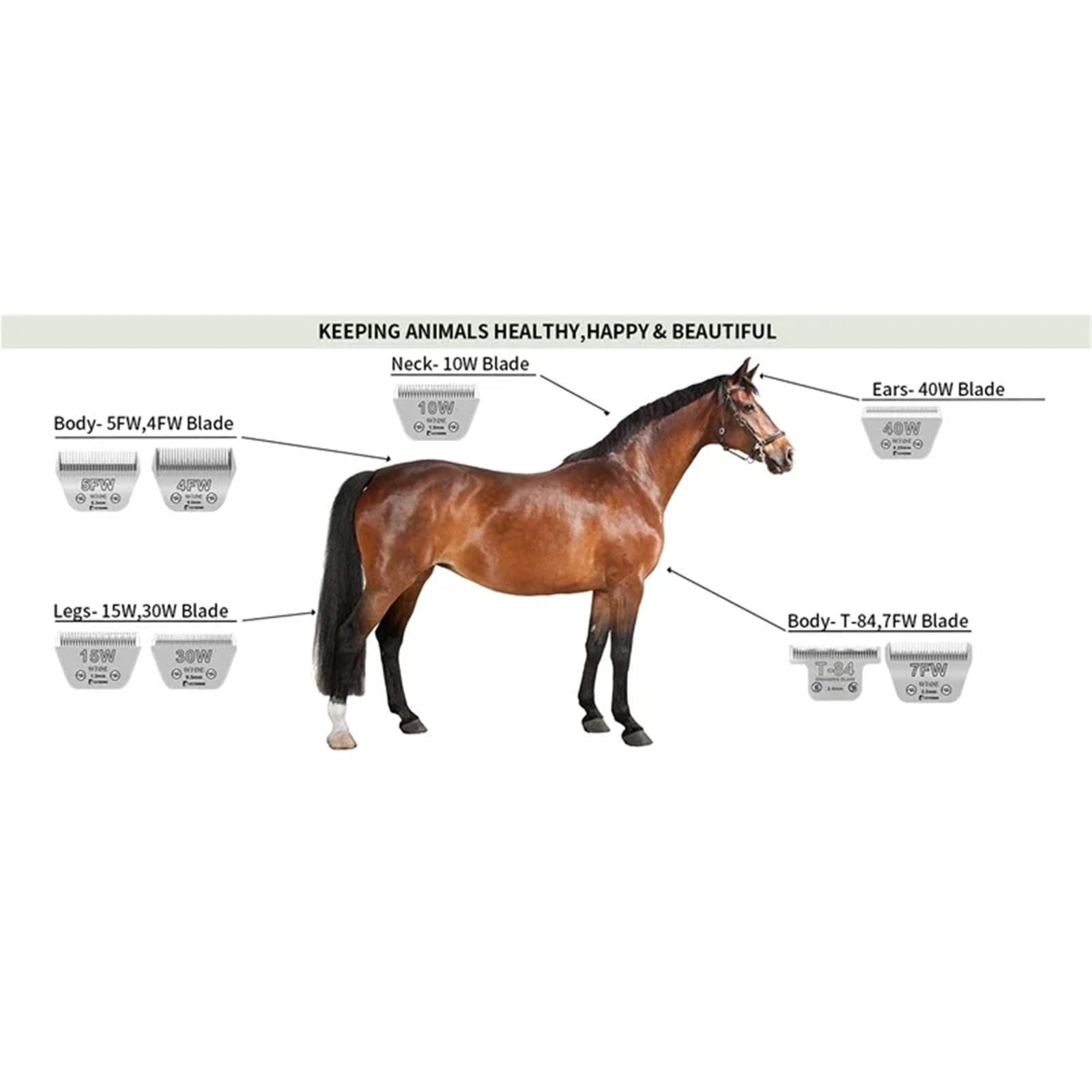 Cuchilla Ancha Desmontable for Animales, Compatible Con Andis, Compatible Con Wahl, KM Clippers, Cuidado De Mascotas, Perros, Ovejas, Caballos Y Cerdos(7FW)