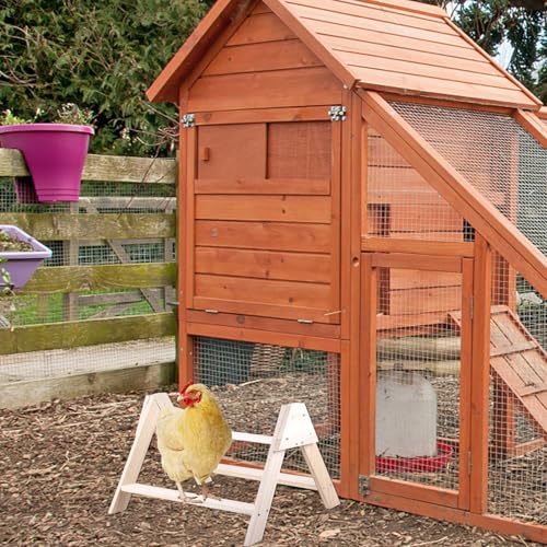 Soporte ejercicio entrenamiento de madera beige para conures y aves domésticas 5