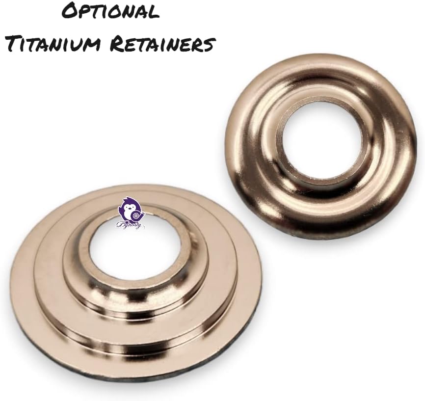 Brian Tooley Racing BTR LS .660" Dual Valve Springs Platinum Kit with Retainers SK001 (Steel)