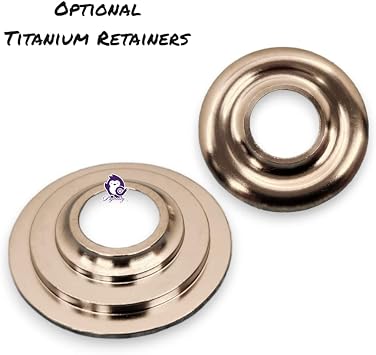Brian Tooley Racing BTR LS .660 Dual Valve Springs Platinum Kit with Retainers SK001 (Steel)