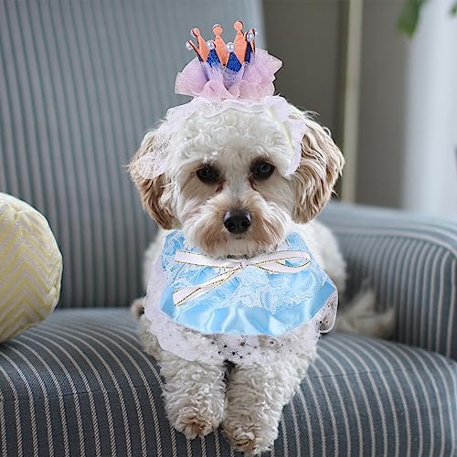 1 conjunto de chapéu de gatinho de festa enfeite de renda para cachorro decoração de pescoço de aniv