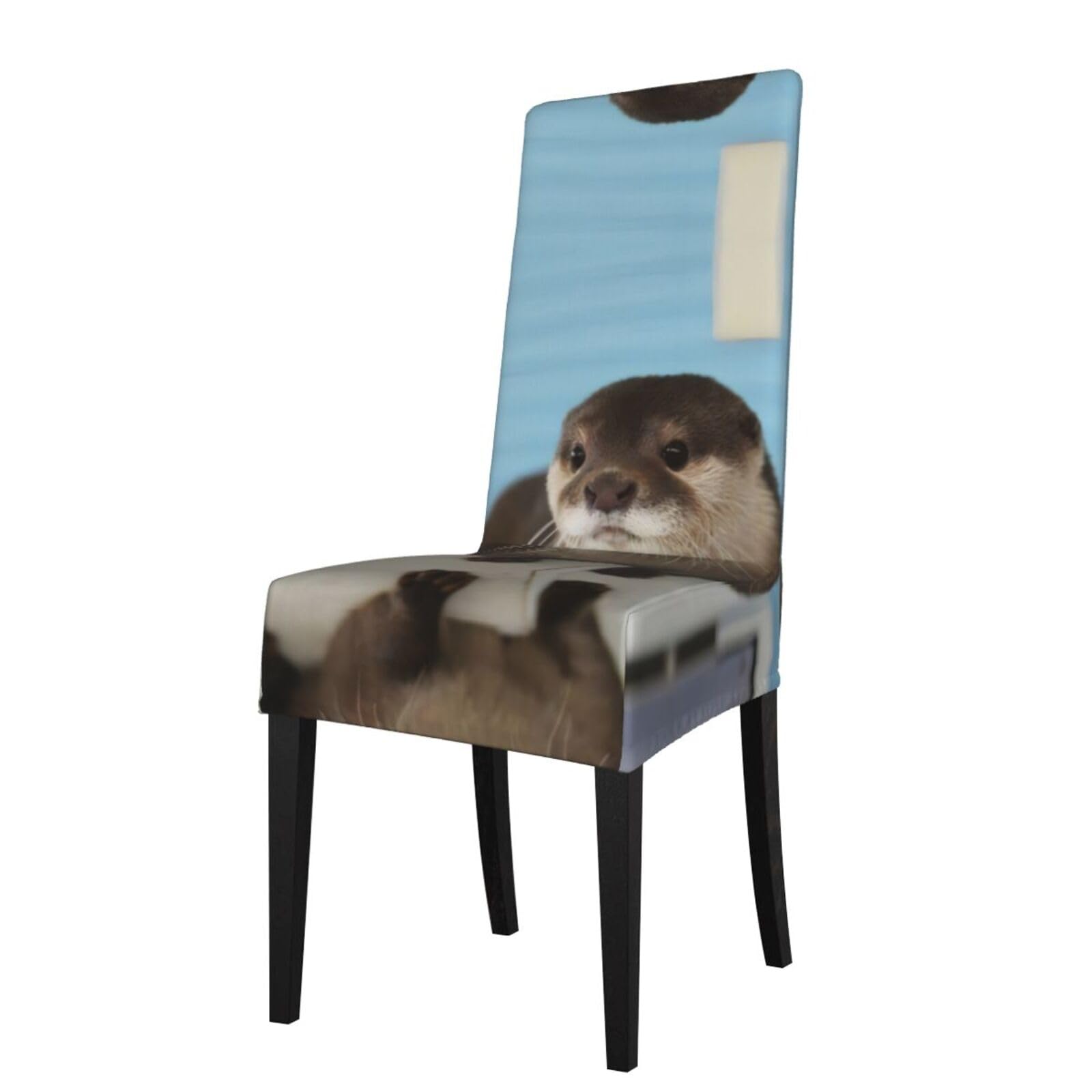 YYHWHJDE Cute Otter Prints Dining Chair Throw Covers – Stretchy & Wrinkle-Resistant Protector for Most Kitchen Chairs – Quick Refresh for Old Furniture