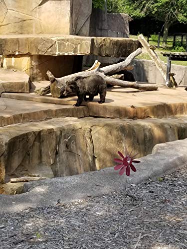 Beloit Plastics 12” Diameter Spinning Daisy (6 Pack Random Color) – 24” Tall Pinwheel And Wind Spinner For Garden, Lawn, Or Patio – Front Or Back Yard Decoration – Usa Made #TOP7