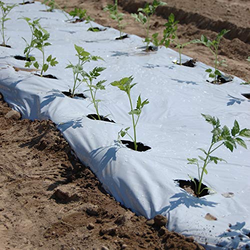 Tenax Black White Cover 1,40X10 M Bianco/Nero, Film Antierbacce Per Pacciamatura, Forzante Della Maturazione - 4