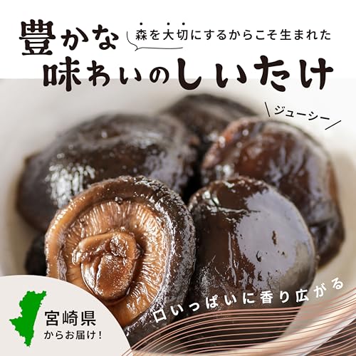 徳用 大容量 宮崎県産 原木 乾燥椎茸 干し椎茸 国産 やさしいしいたけ 宮崎県諸塚村産 原木乾しいたけ 徳用どんこ 200g 4枚目