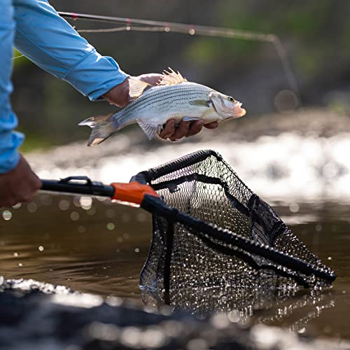 KastKing Pontus Fishing Net, Foldable & Lightweight Landing Net with Built in Length Scale, Strength Aluminum Handle, Fishing Gear and Gift for Men by KastKing - Image 7