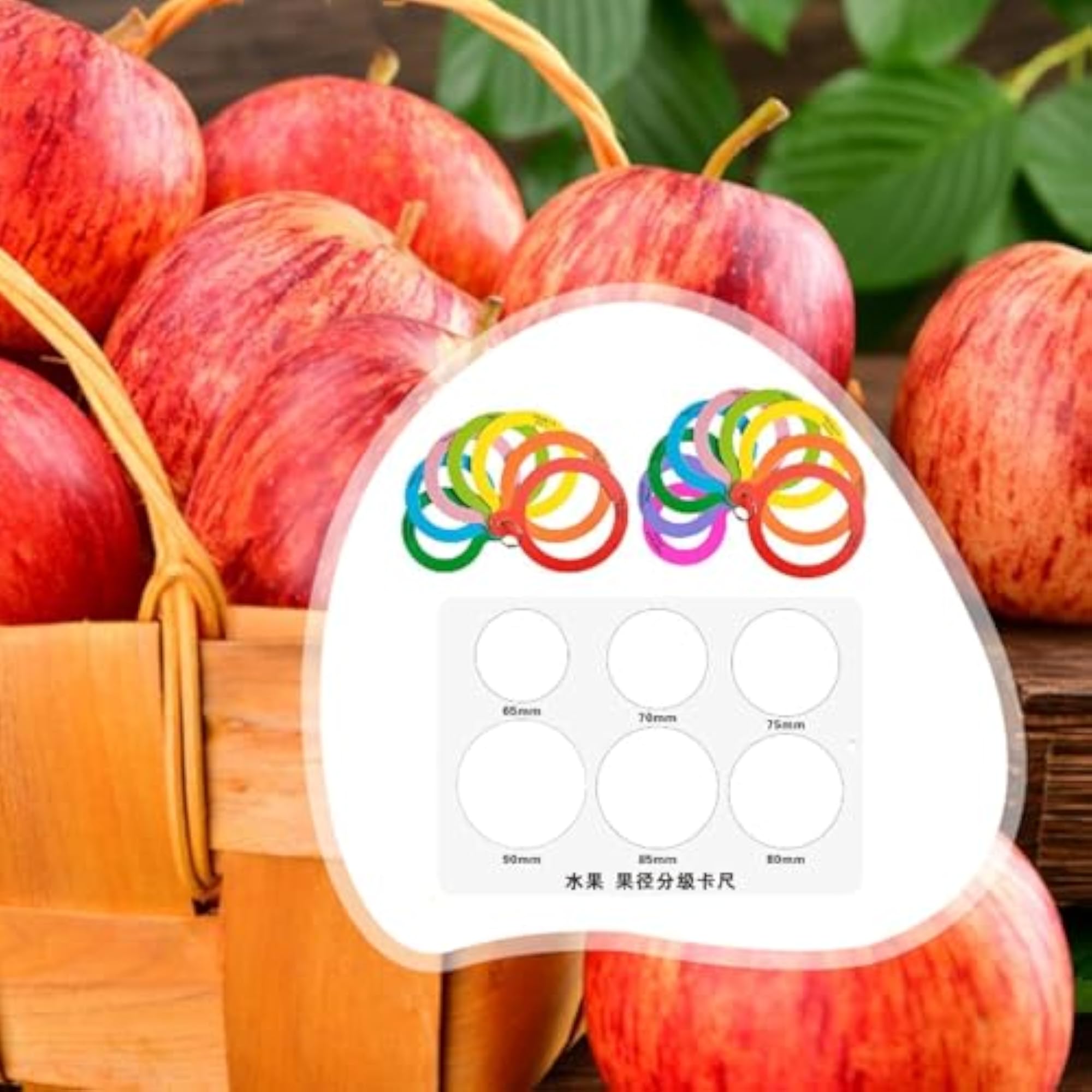 Fruit Circle Caliper Professional Flexible Sorting Tool