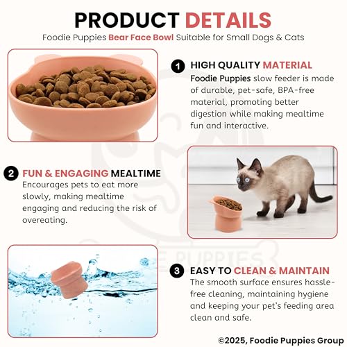 Image of Foodie Puppies Cat Tilted Food and Water Feeder (Bear Face Bowl, Pack of 2) | Durable, Anti Vomiting, Healthy Cat Bowl for Persian Cat Prevent Tipping Over | Elevated Feeder for Cats and Small Dogs