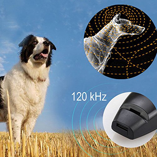 Trainer using Fuhomtre Clicker Dog Trainer on a dog