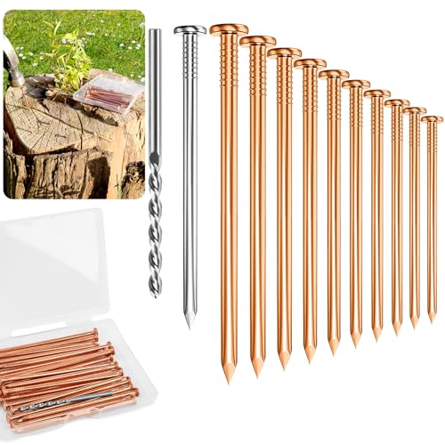 UCandy Pack 20 Copper Nails for Killing Trees Stump Root, 4" Copper Nails with Drill, Stump Removal Spikes Hardware Nails for Trees
