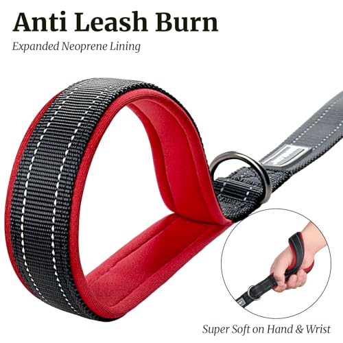 VIVAGLORY Dailyx Hundeleine, Welpenleine Hausleine Joggingleine Für Hunde, Hundeleine mit Schlaufe Und Gepolstertem Griff, Reflektierend & Gepolstert, 90 x 2.5cm, Schwarz